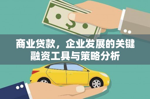 牧野商业贷款，企业发展的关键融资工具与策略分析