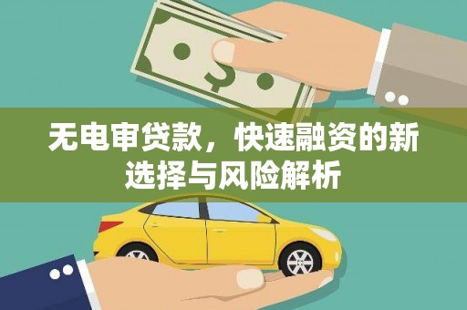 牧野无电审贷款，快速融资的新选择与风险解析