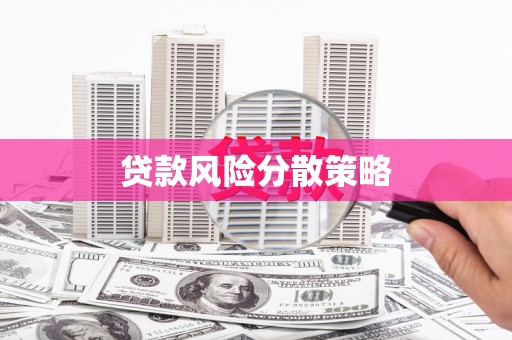 牧野贷款风险分散策略