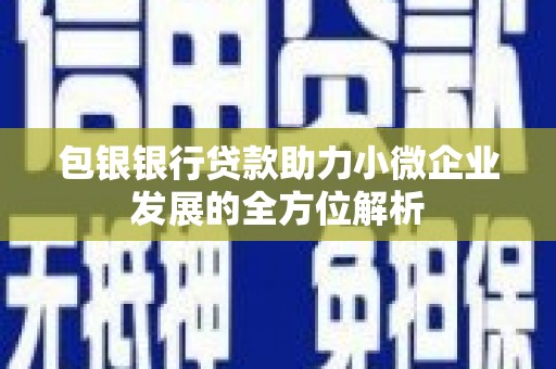 牧野包银银行贷款助力小微企业发展的全方位解析