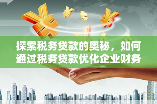 牧野探索税务贷款的奥秘，如何通过税务贷款优化企业财务