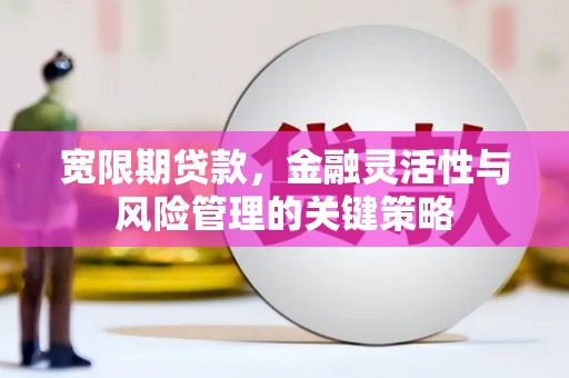 牧野宽限期贷款，金融灵活性与风险管理的关键策略