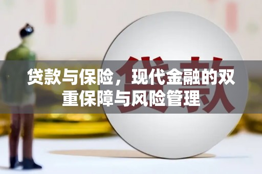 牧野贷款与保险，现代金融的双重保障与风险管理