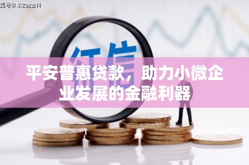 牧野平安普惠贷款，助力小微企业发展的金融利器