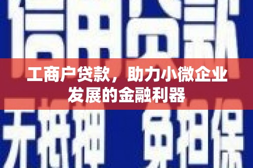 牧野工商户贷款，助力小微企业发展的金融利器