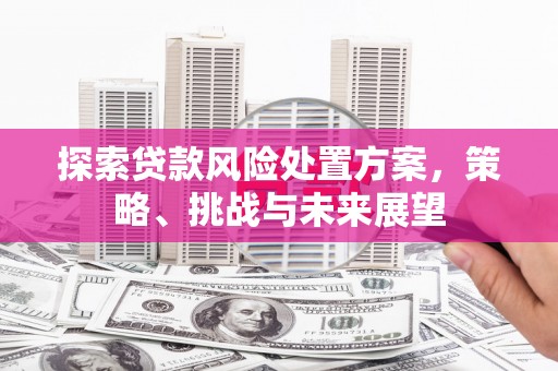 牧野探索贷款风险处置方案，策略、挑战与未来展望