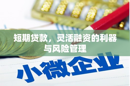 牧野短期贷款，灵活融资的利器与风险管理