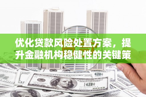 牧野优化贷款风险处置方案，提升金融机构稳健性的关键策略