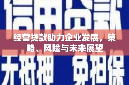 牧野经营贷款助力企业发展，策略、风险与未来展望