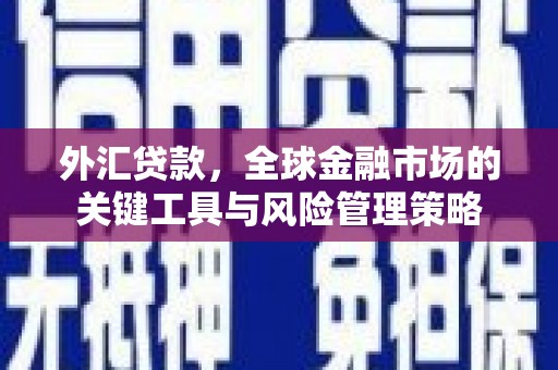 牧野外汇贷款，全球金融市场的关键工具与风险管理策略
