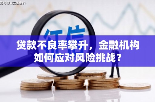 牧野贷款不良率攀升，金融机构如何应对风险挑战？