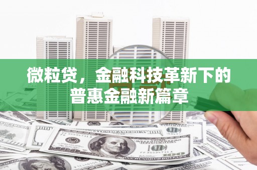 牧野微粒贷，金融科技革新下的普惠金融新篇章