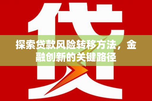 牧野探索贷款风险转移方法，金融创新的关键路径