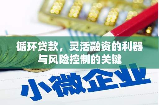 牧野循环贷款，灵活融资的利器与风险控制的关键