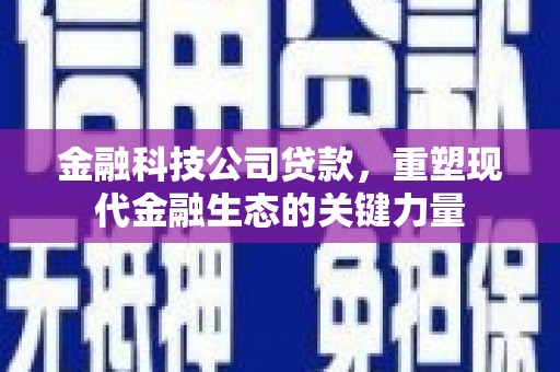 牧野金融科技公司贷款，重塑现代金融生态的关键力量