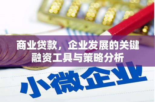 牧野商业贷款，企业发展的关键融资工具与策略分析