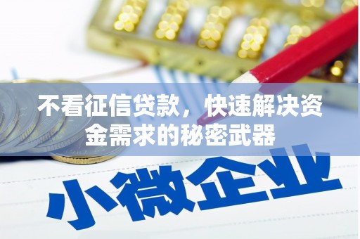牧野不看征信贷款，快速解决资金需求的秘密武器