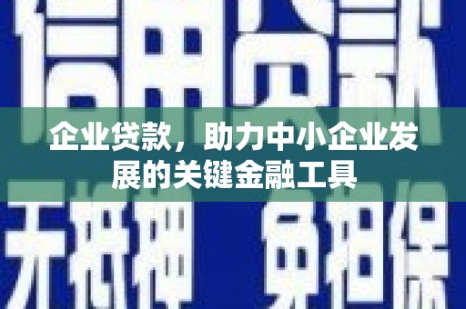 牧野企业贷款，助力中小企业发展的关键金融工具