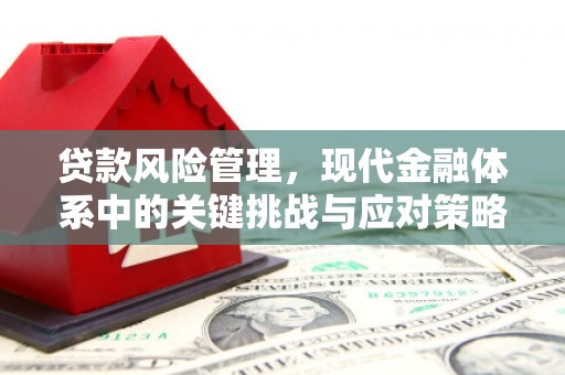 牧野贷款风险管理，现代金融体系中的关键挑战与应对策略