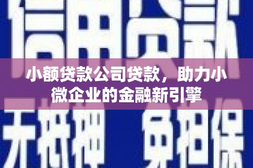 牧野小额贷款公司贷款，助力小微企业的金融新引擎