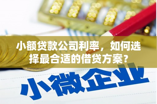 牧野小额贷款公司利率，如何选择最合适的借贷方案？