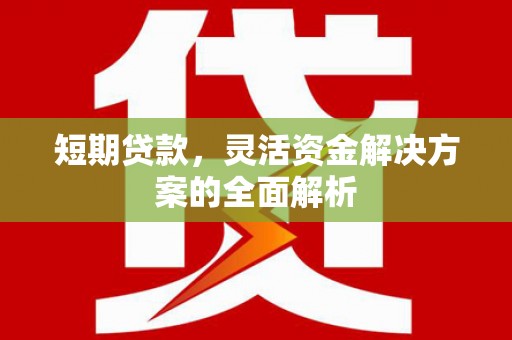 牧野短期贷款，灵活资金解决方案的全面解析