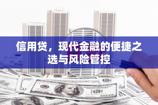 牧野信用贷，现代金融的便捷之选与风险管控