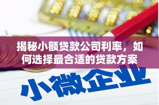 牧野揭秘小额贷款公司利率，如何选择最合适的贷款方案