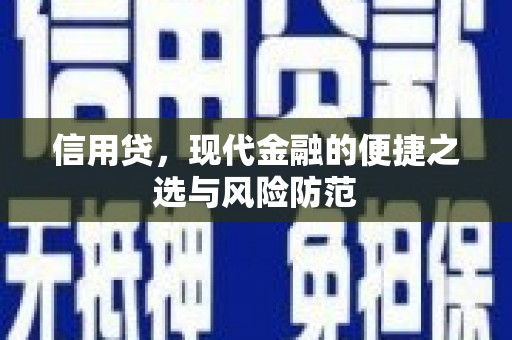 牧野信用贷，现代金融的便捷之选与风险防范