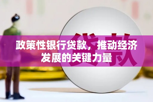 牧野政策性银行贷款，推动经济发展的关键力量