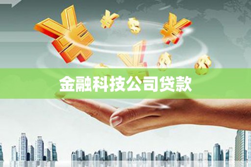 牧野金融科技公司贷款