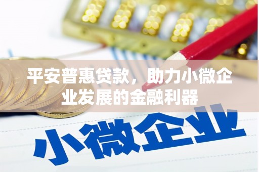 牧野平安普惠贷款，助力小微企业发展的金融利器