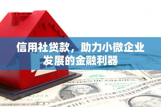 牧野信用社贷款，助力小微企业发展的金融利器