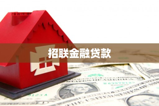 牧野招联金融贷款