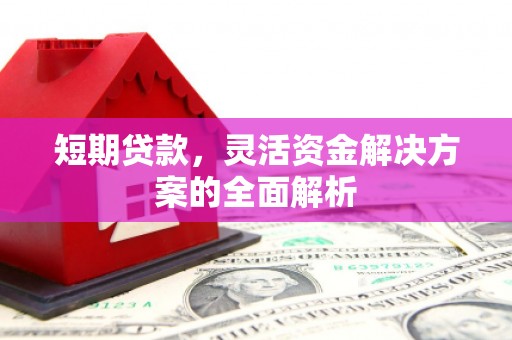 牧野短期贷款，灵活资金解决方案的全面解析
