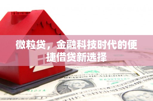 牧野微粒贷，金融科技时代的便捷借贷新选择