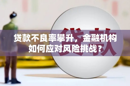 牧野贷款不良率攀升，金融机构如何应对风险挑战？