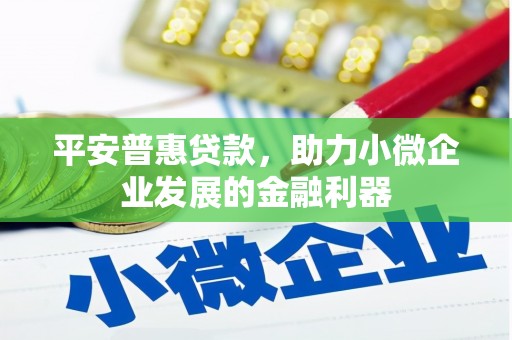 牧野平安普惠贷款，助力小微企业发展的金融利器