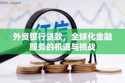 牧野外资银行贷款，全球化金融服务的机遇与挑战