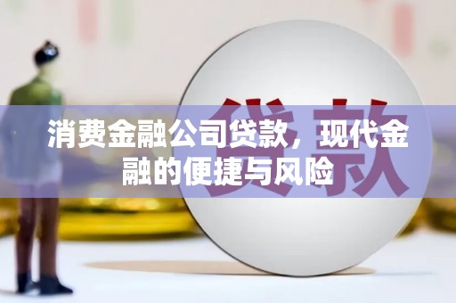 牧野消费金融公司贷款，现代金融的便捷与风险