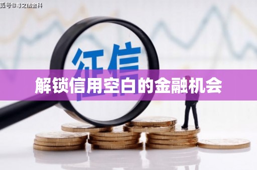 牧野解锁信用空白的金融机会