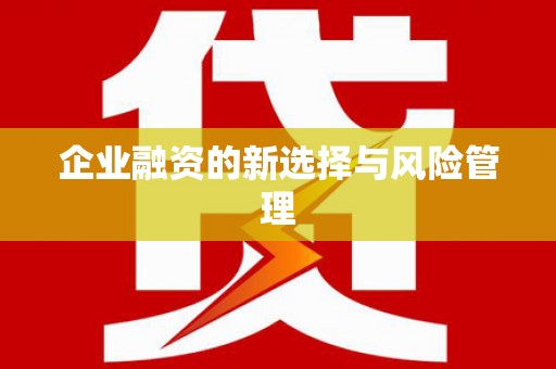 牧野企业融资的新选择与风险管理