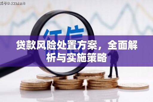 牧野贷款风险处置方案，全面解析与实施策略