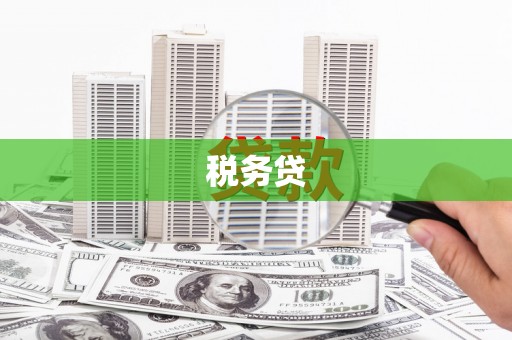 牧野税务贷